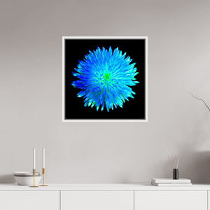 L’Astre Bleu - Idealart