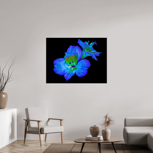 Alstroemeria des Lueurs Cachées - Idealart