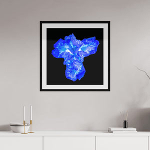 Iris du Cœur Lumineux - Idealart