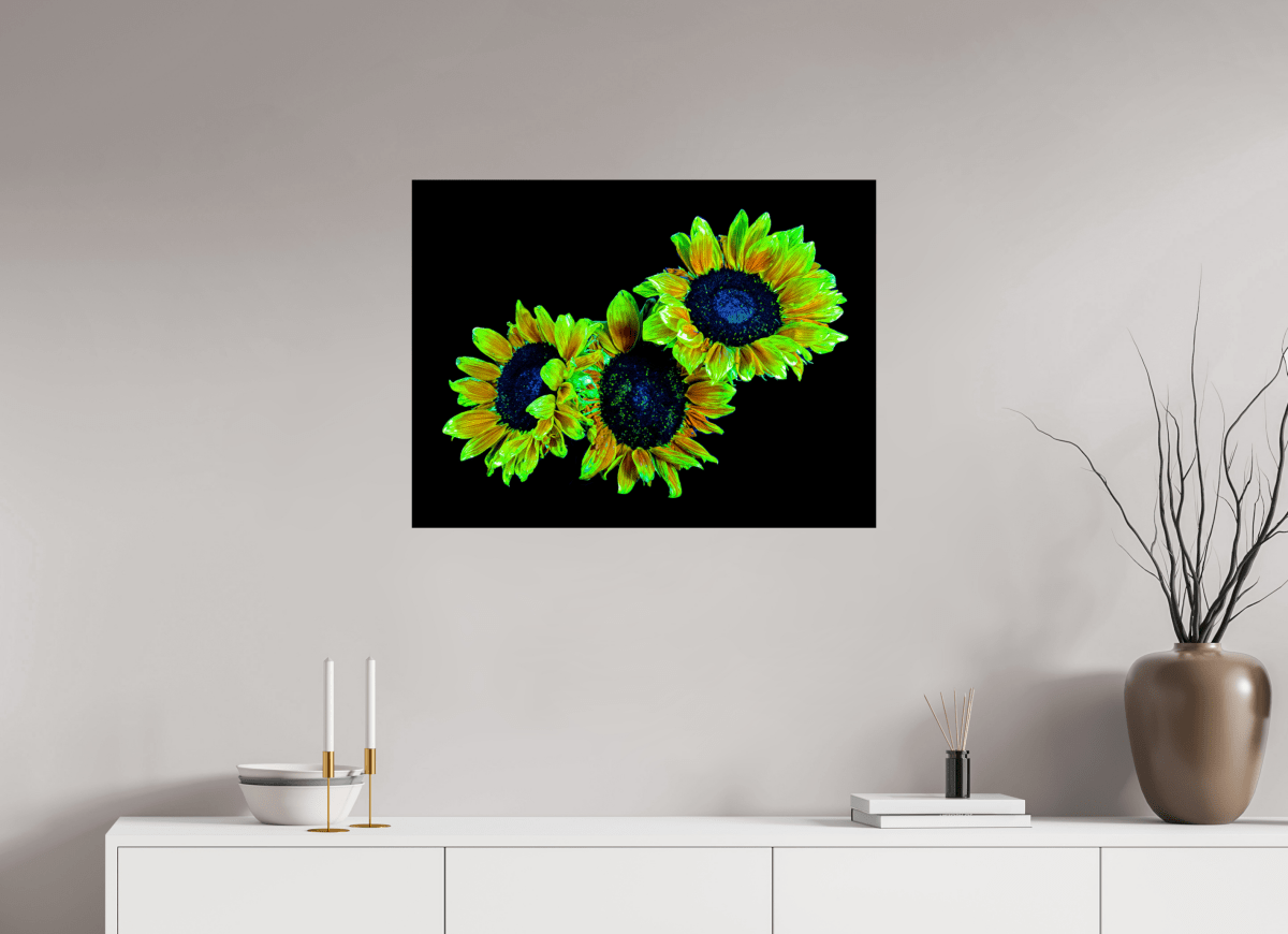 Les gardiens du jour endormi - Idealart